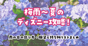 梅雨〜夏のディズニー攻略！雨の日の回り方・服装と持ち物リストまとめ
